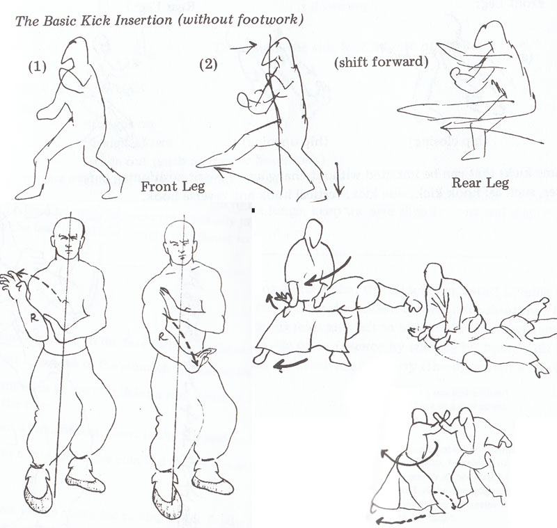 martial arts books pdf
