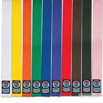 The Meanings of Karate Belts | AWMA Blog