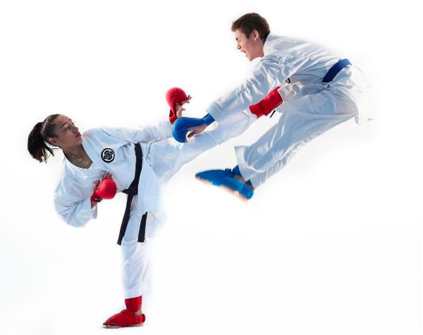What Are The Differences Between Karate, JiuJitsu