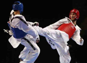 tae kwon do