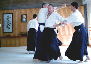 aikido randori 2