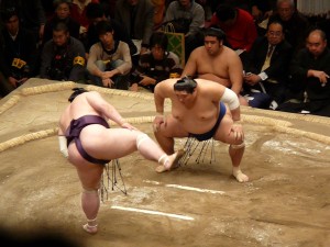 sumo 3