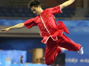 wu shu 1