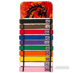 karate belt rack