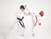 karate sparring gear wholesale