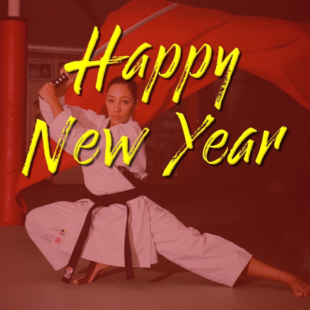 new years resolutions martial arts